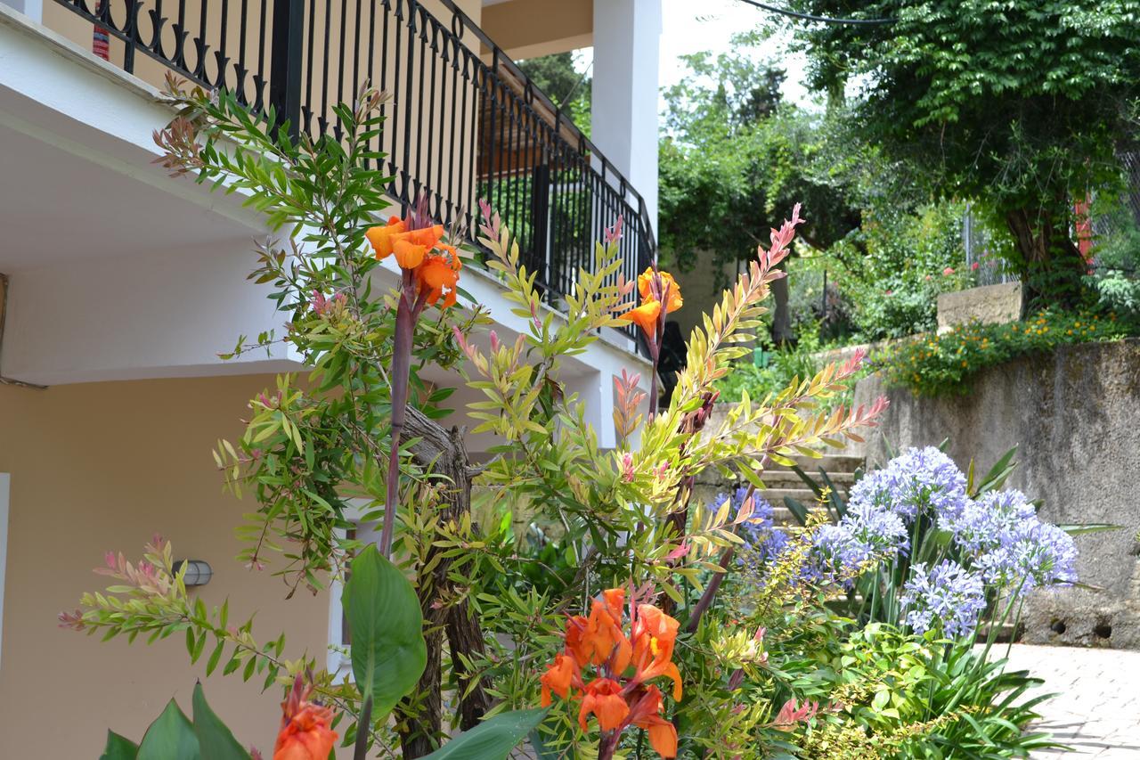 Iliana Hotel de apartamente *
